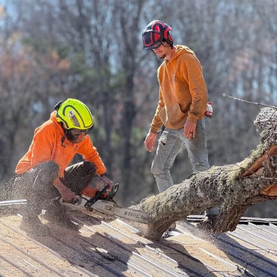 Emergency Tree Service 1