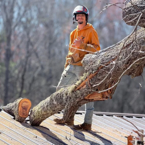 Emergency Tree Service