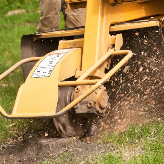 Stump Grinding and Removal